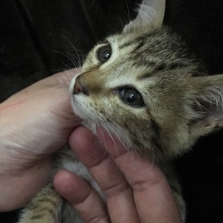ありがとうございました♪