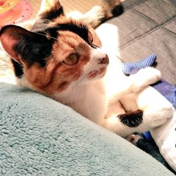 「あったかくなってきたねえ」サムネイル2