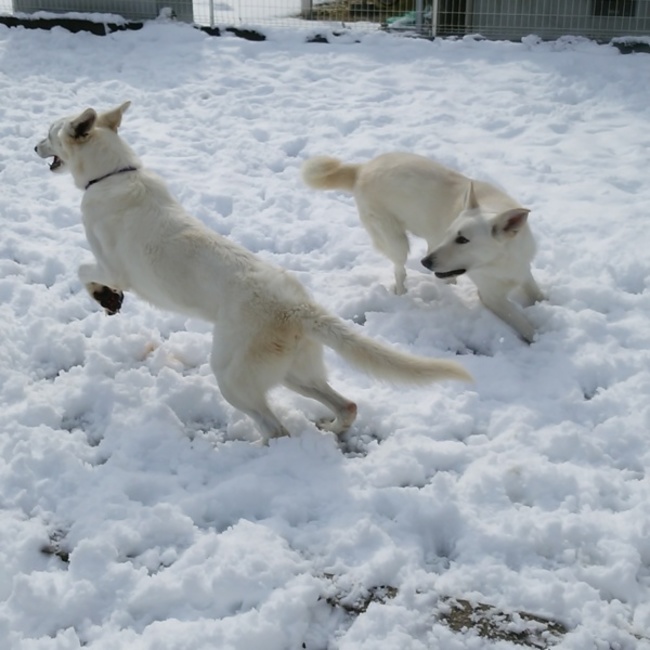 nami0116のカバー写真