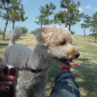 オスカル・フランソワ・ド・アル