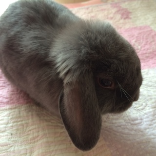 応募者の方から選考させて頂きます