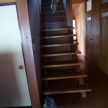 2階へ挑戦する弟と見送る姉