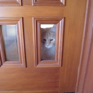 「出してよー」