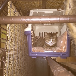 「0.7坪のしあわせ」サムネイル1