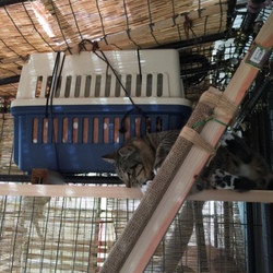 「0.7坪のしあわせ」サムネイル2