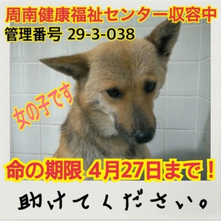 おうちが決まりました！