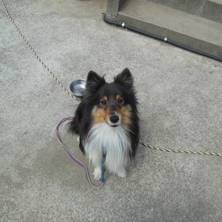 応募多数の為中断します