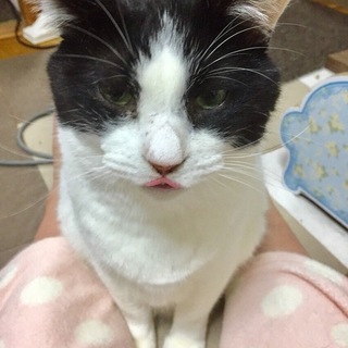 もふもふお腹とお尻で癒されます♪