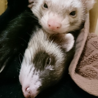 沢山の応募ありがとうございました。