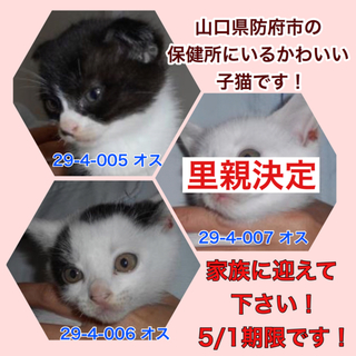 全て譲渡されました！