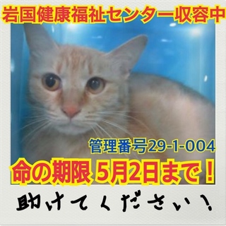 おうちが決まりました☆