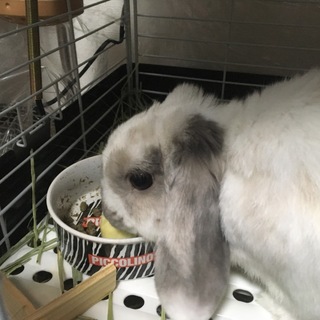 よろしくお願いいたします。