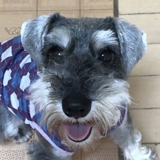 甘えたでとてもヤンチャな男の子♪