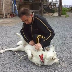 お父さん退院！！