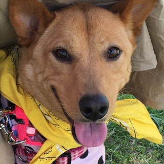 繊細で愛らしい女の子千奈です。