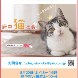 猫の譲渡会、開催【府中猫の会】 サムネイル1