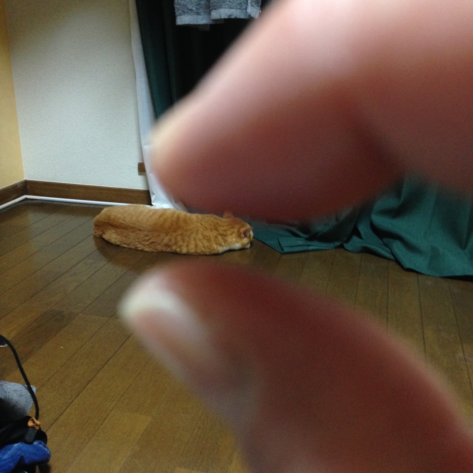つくねのカバー写真