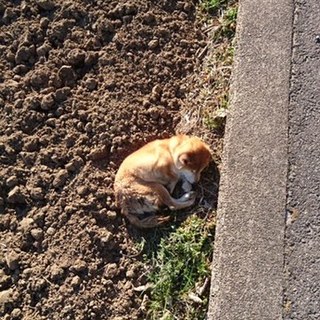 良いご縁に繋がりました！