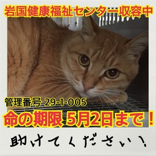 おうちが決まりました☆