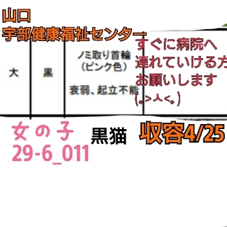 すぐに病院へ行ける方お願いします(>_<)