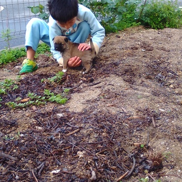 初めて朝のお庭で子供と散歩