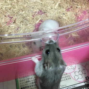 の写真