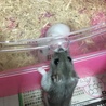 の写真