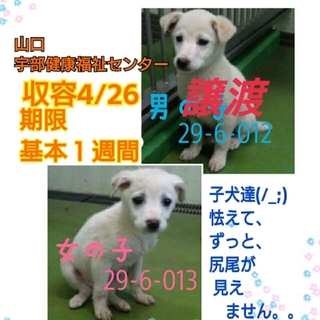 ありがとうございます(>_<)