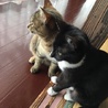 とぅみはは さん