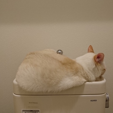 何かの見間違いかと思って二度見したけれど…