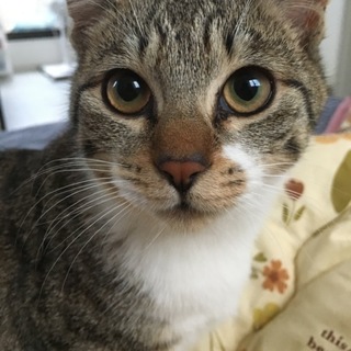 ありがとうございました