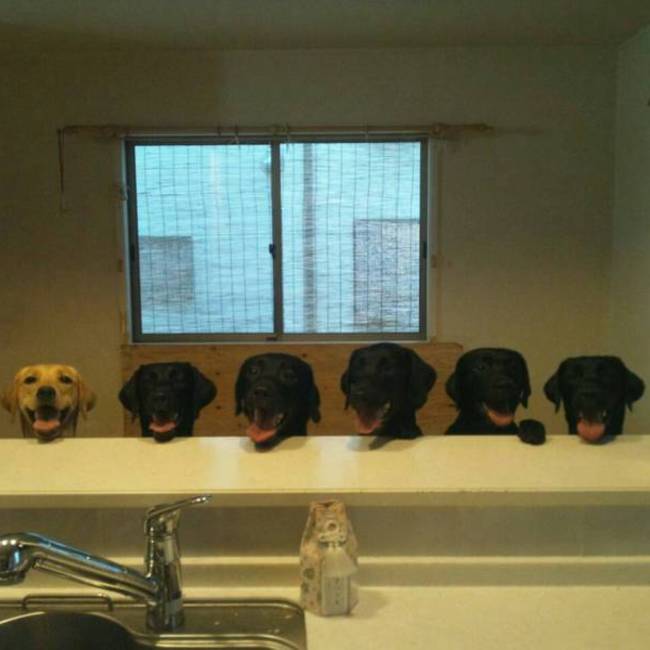 おらはきのカバー写真