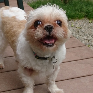 くりくりお目めの木葉ちゃん