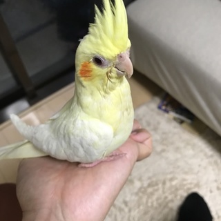 大切にしてくださる方