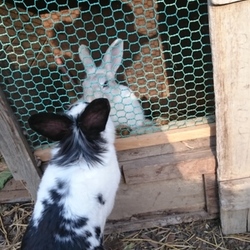 前前前前前前前前前前世から