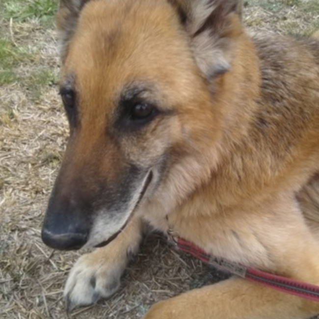 LILIQのカバー写真