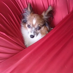 すっぽりフィット