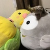 ココピー
