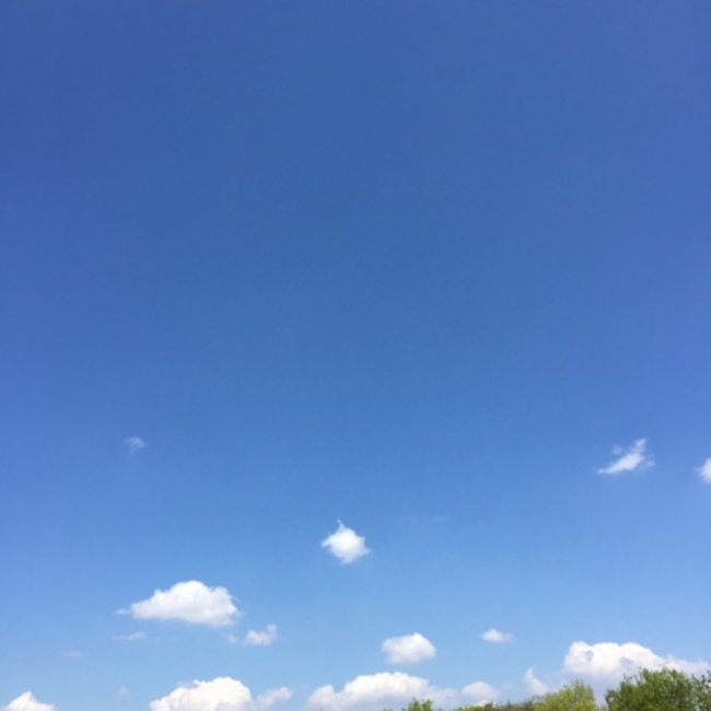 光のあたる場所のカバー写真