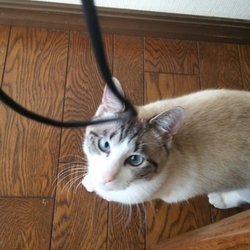 「マンソン ※閲覧注意」サムネイル1