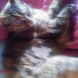 おはよー！´ω`)ﾉ