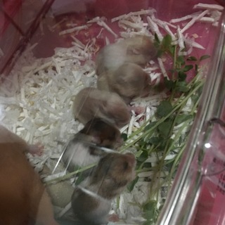 沢山の問い合わせありがとうございました。