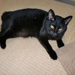 落ち着いたのかな？