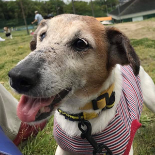 穏やか！マイヤー（♀）ちゃん