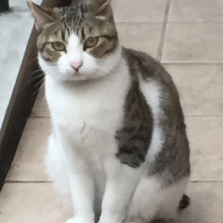 きりっとした素敵な１２ヶ月の男の子