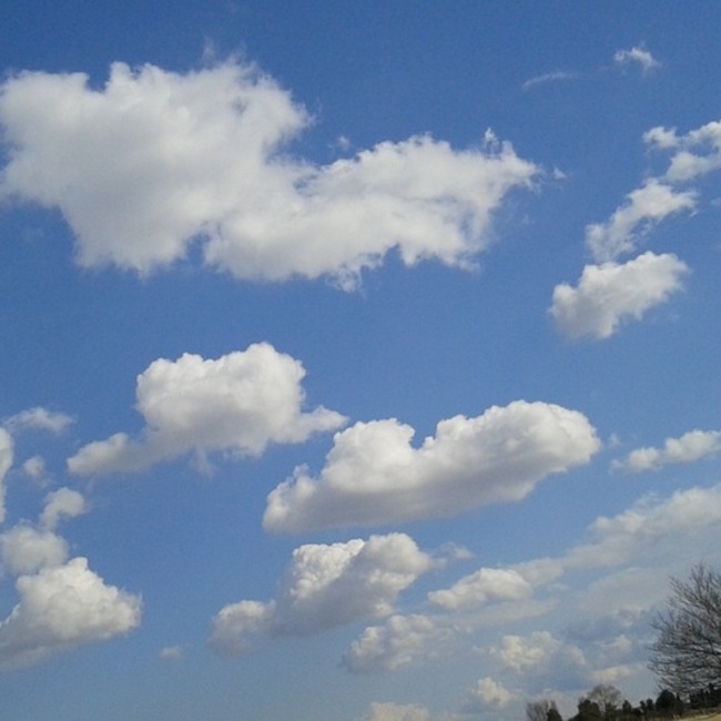 広愛のカバー写真