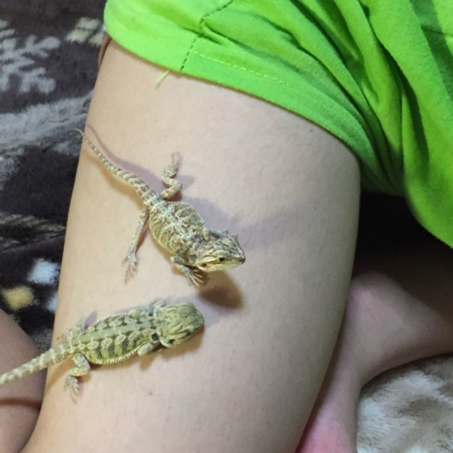 jeffrey のカバー写真