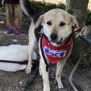 元気いっぱい！ヤンチャなマックス君♬