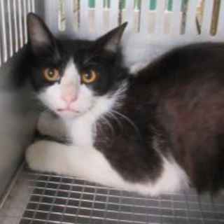 里親さまが決まりました！