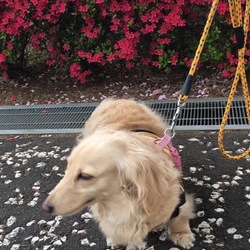 遊びに行ったよ♫